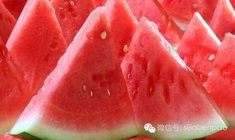 瓜家人在洛杉矶娱乐吃瓜号,瓜家人吃瓜大揭秘