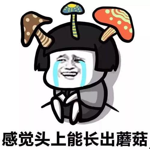 娱乐吃瓜酱出门忘关空调,娱乐吃瓜酱上演“电费刺客”