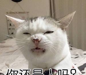 娱乐吃瓜酱布丁是只喵