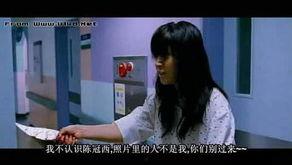 娱乐吃瓜酱野生字幕菌,揭秘幕后花絮，带你领略影视圈真实一面