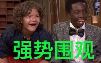 娱乐吃瓜小三是谁啊小说,娱乐吃瓜小三是谁？揭秘小说中的神秘角色